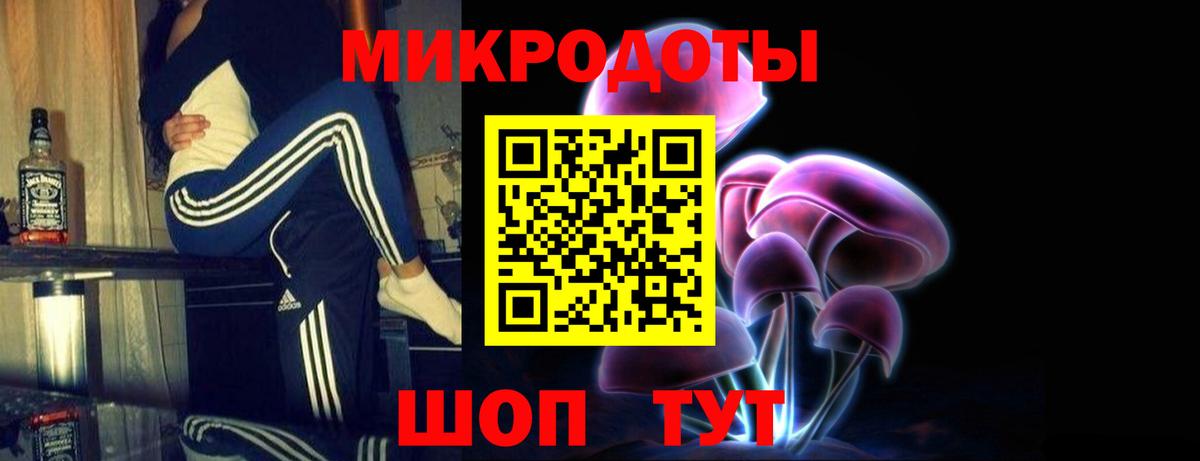 Красноярск  Псилоцибиновые грибы Psilocybine cubensis  Вход с VPN 